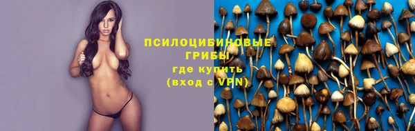 мяу мяу мука Абдулино